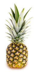 pineapple isolated on white background