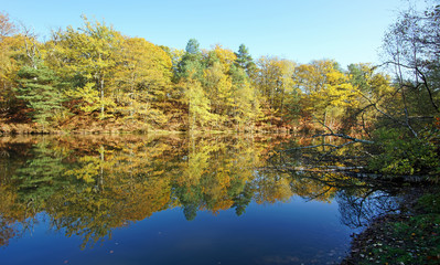 &eacute;tang rompu pond in Rambouillet forest