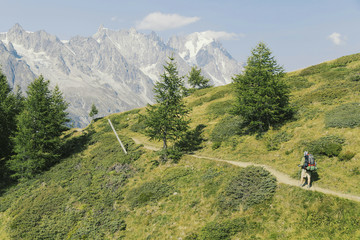 Fototapeta na wymiar Campaign around Mont Blanc.Campaign around Mont Blanc.