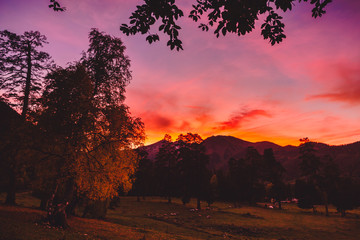 Sunset or sunrise behind tree in the forest with sky and mountains