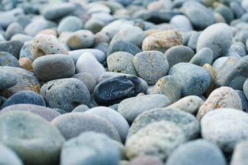 sea stones shore