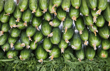 Fresh cucumbers at the market