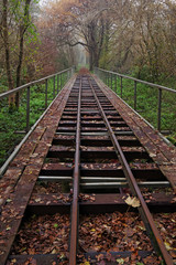 railway track in the french Gâtinais regional nature park