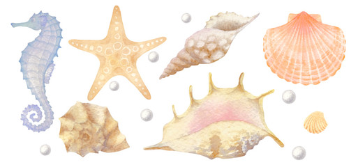 Set of watercolor sea elements: seashells, starfish, seahorse, pearl.