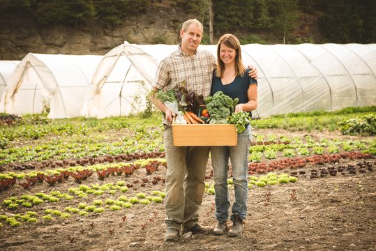 Mature couple holding crate of vegetables