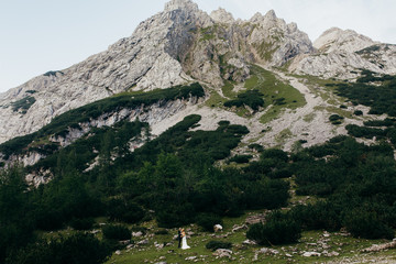 Beautiful bride and groom in the forest at summer 