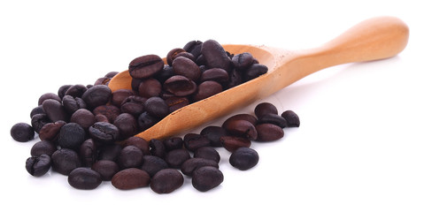 coffee beans isolated on white background