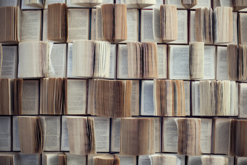 Open books, Abstract blur and defocused bookshelf in library interior for background