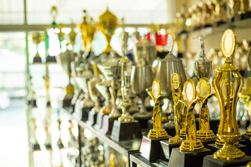 Trophy award show your success