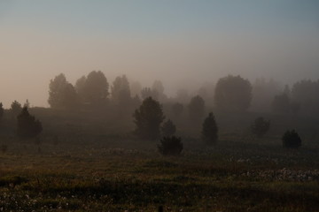 Dawn on the Siberian expanses