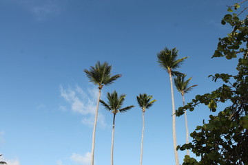 Beautiful and unique landscape of Dominican Republic