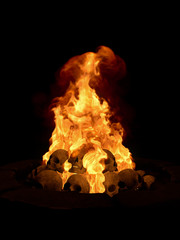 Bonfire. Skull on fire