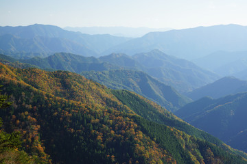 Obraz premium 紅葉風景 奈良