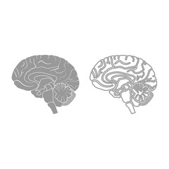 Brain icon. Grey set .