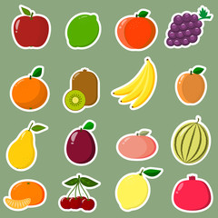 Icons Stickers of fruit with a white outline, in a set on a green background.