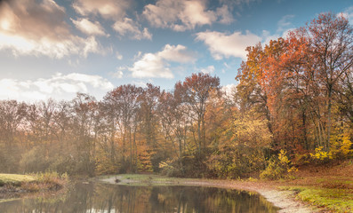 Autmn times are here