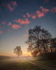 Field in the sunrise