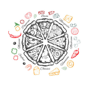 Pizza with ingredients and different types of pizza slices. Vector hand drawn illustration. Sketch styled isolated objects