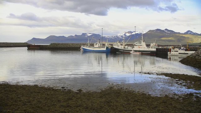 Northern Icelandic harbor port with fishing and whale watching boats and little ships and snow mountains with moving clouds