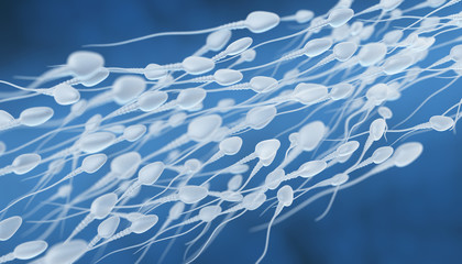 Human sperm flow - obrazy, fototapety, plakaty