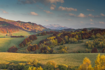 Fototapeta na wymiar Vibrant colors of autumn in wilderness of Carpathia Mountains,Bieszczady,Poland