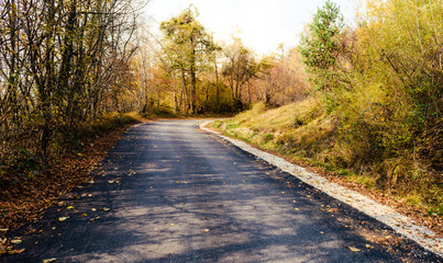 Fototapeta na wymiar Dreamy scenic landscape of asphalt road across autumn orange woods.
