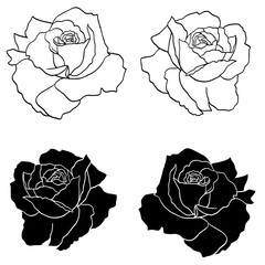 Hand drawn roses flowers vector set
