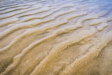 Sandy beach texture background.