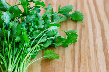 Green leaves coriander lay on wood table in top view with copy space. Food preparation concept for fresh vegetable.