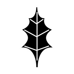 leaf christmas decoration nature element icon