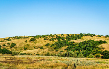 Obraz premium landscape field mountain expanse