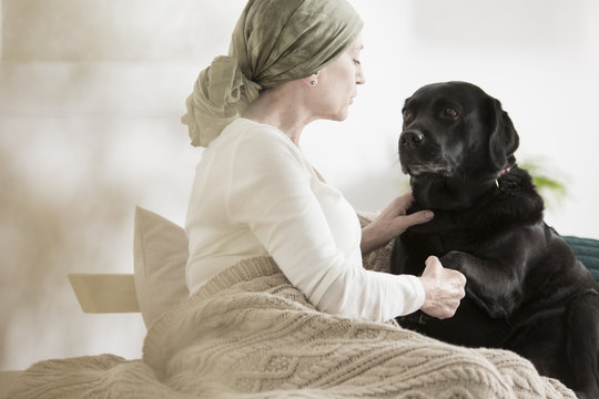 Overcoming Pain With Pet Therapy