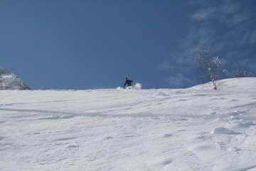 Fototapeta na wymiar Downhill skiing on fresh snow