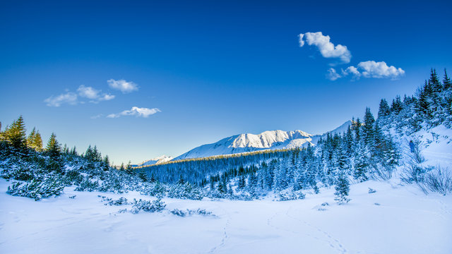 Snowy peaks in Tatra mountains winter, Poland