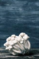 japanese bunapi-shimeji mushrooms
