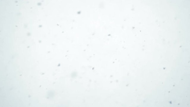 Large Snow Flakes. Heavy snowfall. Snowflakes are flying fast and erratically toward the camera. Filmed at a speed of 240fps