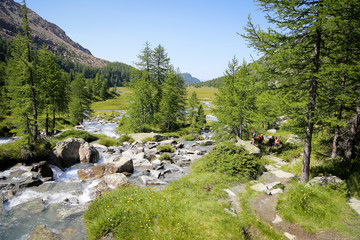 Italian alps in a summer day