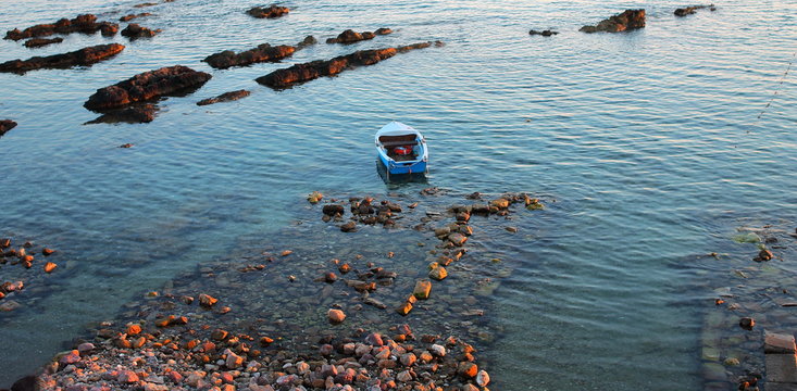 Boat next to the shore