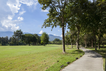 Golf course