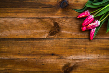 Floral frame: tulips on rustic wooden background. Top view, copy space for your text.