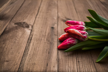 Tulips close-up on a wooden light brown background.