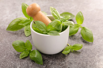 basil leaf with mortar