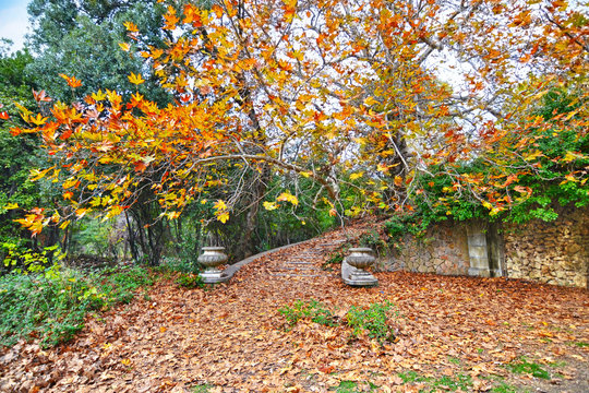 The Abandoned Garden Of Tatoi Palace Greece