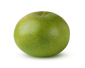 Citrus Sweetie, isolated on white background with shadow.