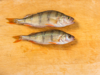 Fresh fish. Fresh river fish perch. On a yellow wooden background. Top view