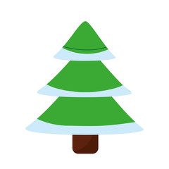 pine tree icon image