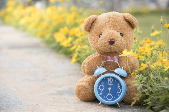 Teddy bear with blue clock on backdrop