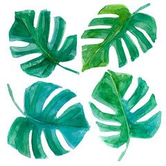 Tropical Hawaii leaves in a watercolor style