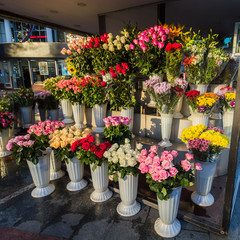 Fototapeta na wymiar range of colors in the floral street store