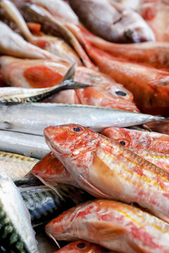 A close-up of fish counter. Different kinds of sea fish on a fish market